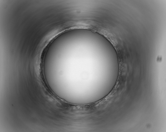 X0000103960338200809191516