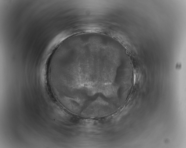 X0000103960339200809191516