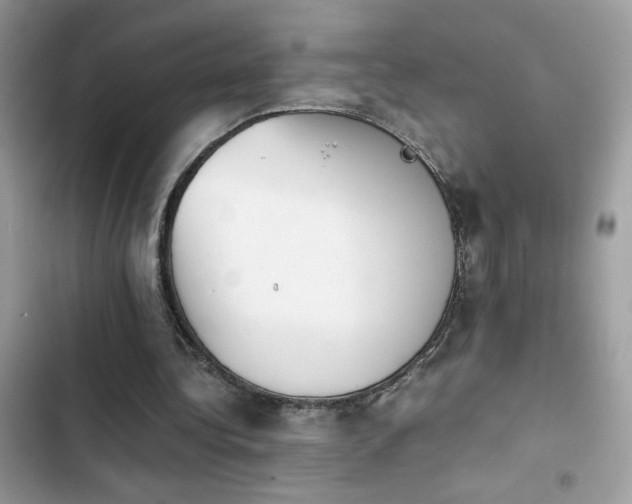 X0000103960340200809191516