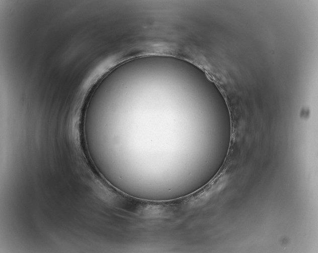 X0000103960341200809191516