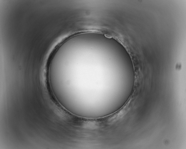 X0000103960342200809191516