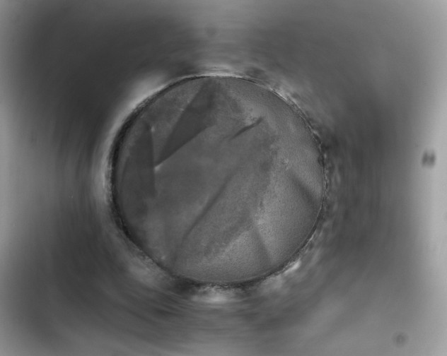 X0000103960343200809191516