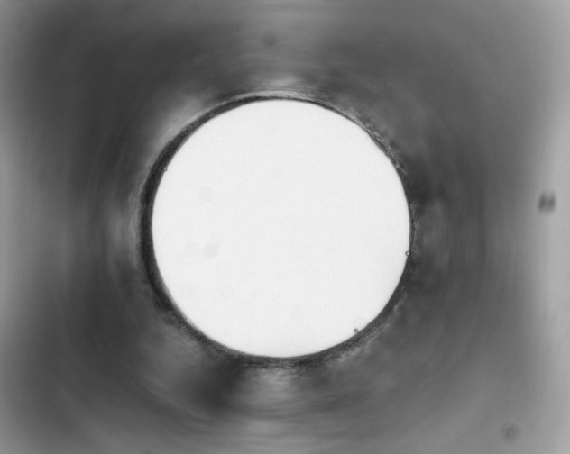 X0000103960344200809191516