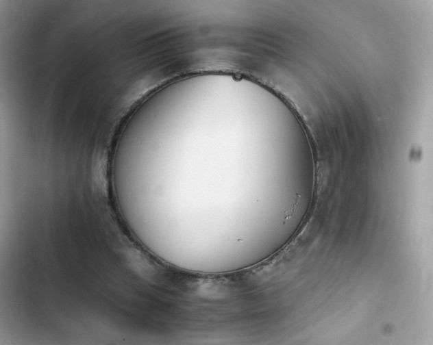 X0000103960345200809191516