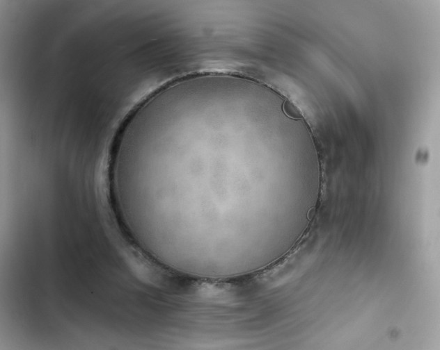 X0000103960346200809191516