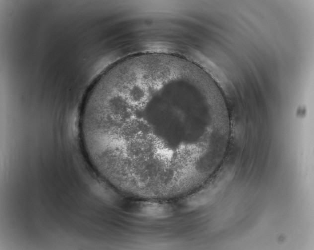 X0000103960347200809191516