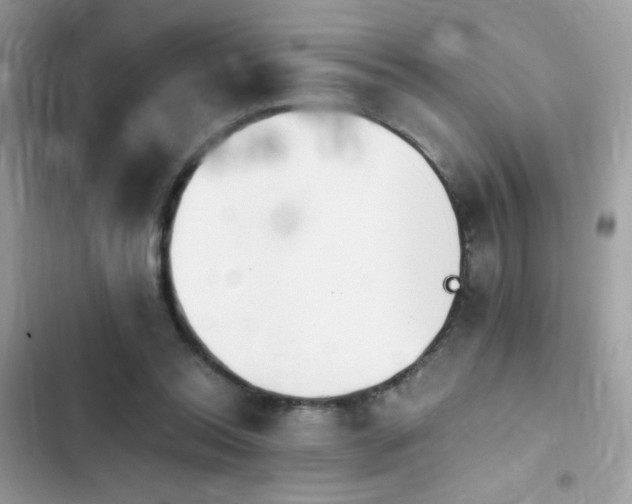 X0000103960350200809191516