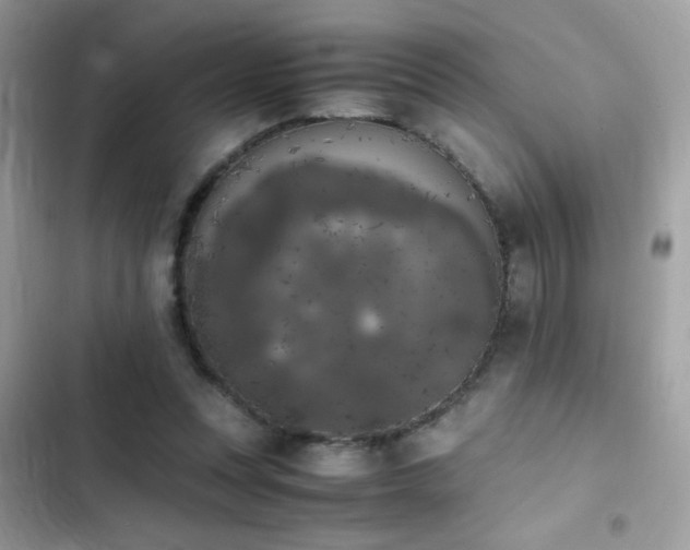 X0000103960351200809191516