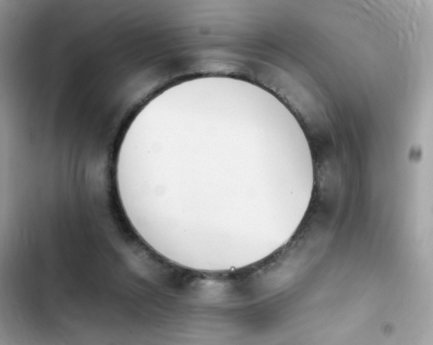 X0000103960352200809191516