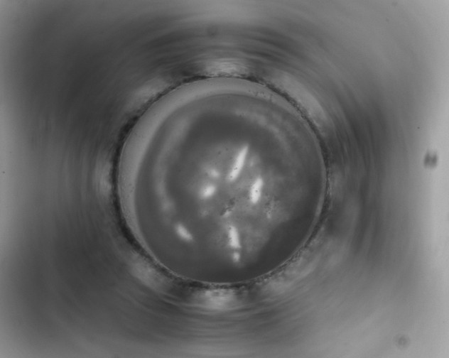 X0000103960353200809191516