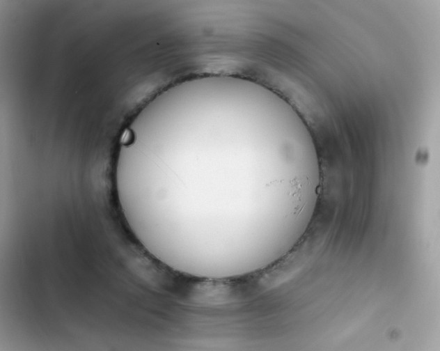 X0000103960354200809191516
