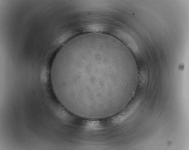 X0000103960355200809191516