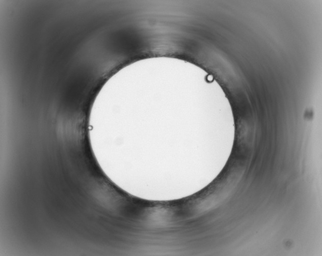 X0000103960356200809191516