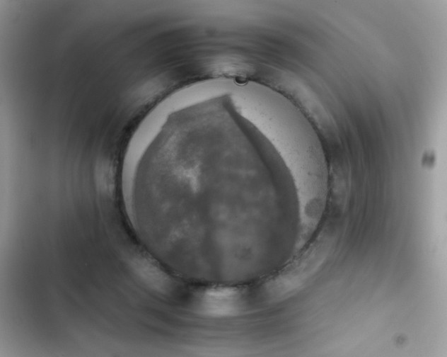 X0000103960357200809191516