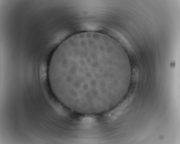 X0000103960358200809191516