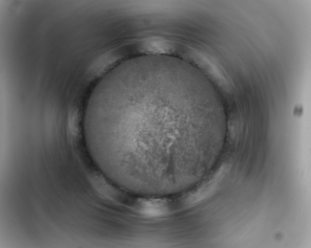 X0000103960359200809191516