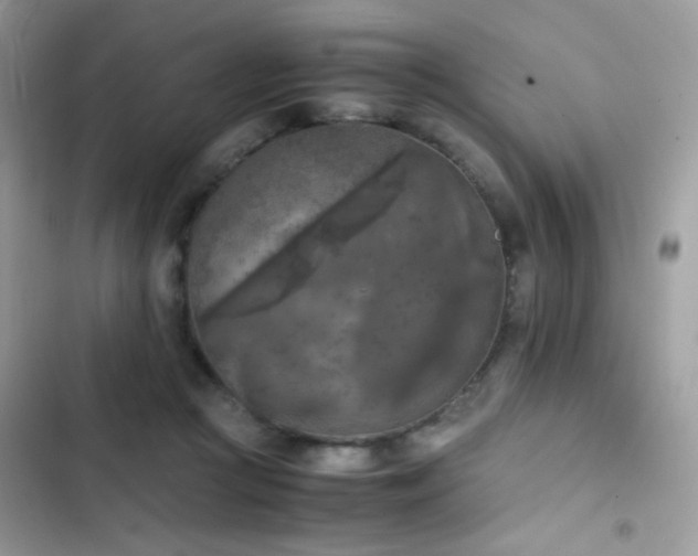 X0000103960361200809191516