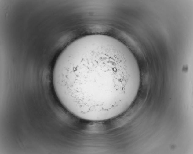 X0000103960362200809191516