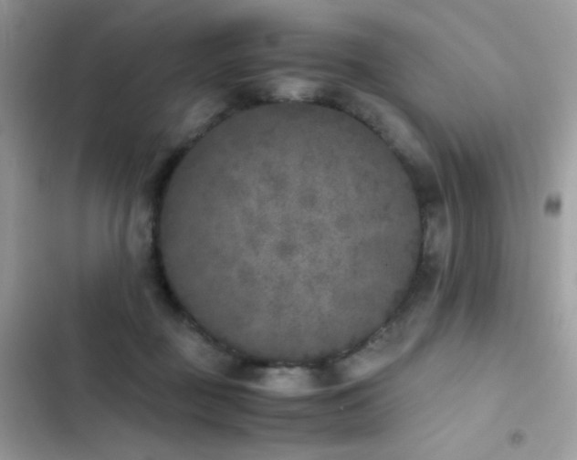 X0000103960363200809191516