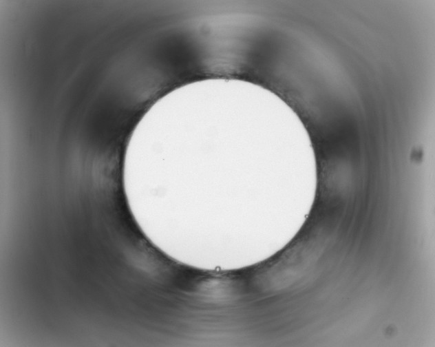X0000103960364200809191516
