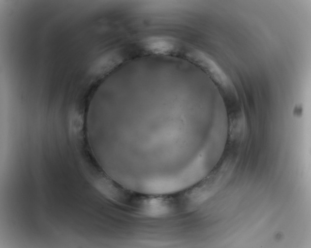 X0000103960365200809191516