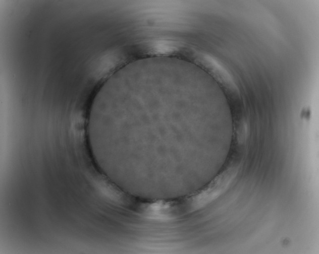 X0000103960366200809191516