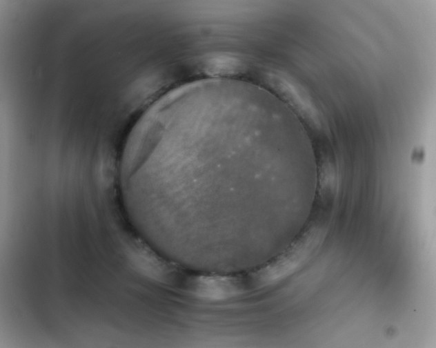 X0000103960367200809191516