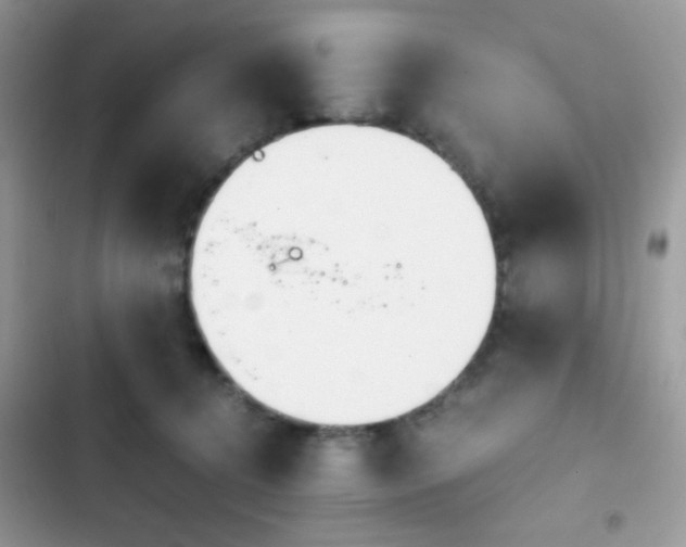 X0000103960368200809191517
