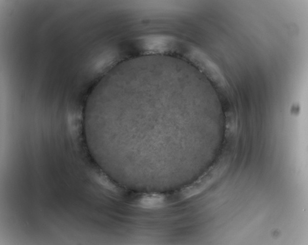 X0000103960369200809191517