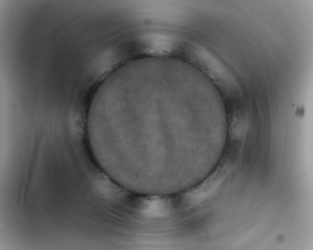X0000103960370200809191517