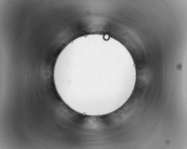 X0000103960372200809191517