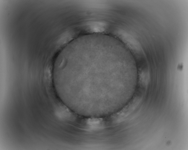 X0000103960373200809191517