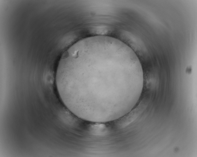 X0000103960374200809191517