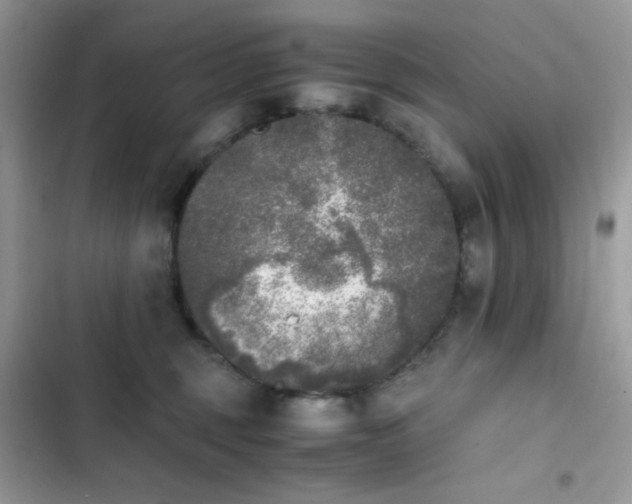 X0000103960375200809191517