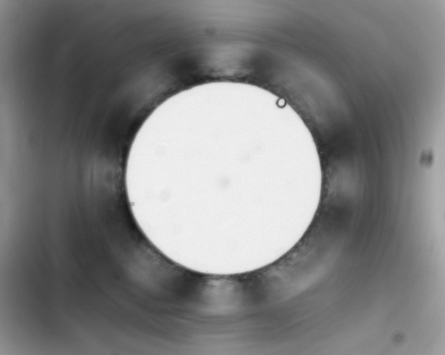 X0000103960376200809191517