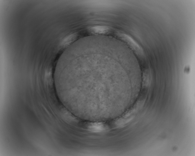 X0000103960377200809191517
