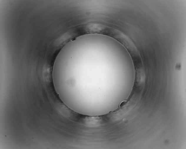 X0000103960378200809191517