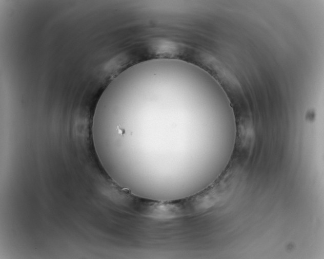 X0000103960379200809191517