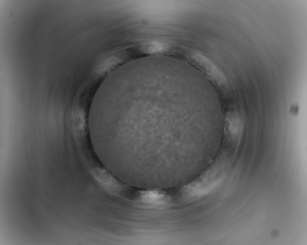 X0000103960380200809191517