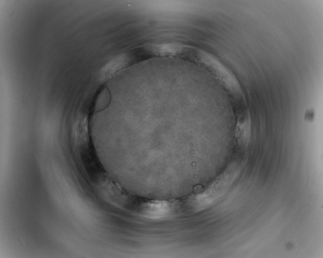 X0000103960381200809191517