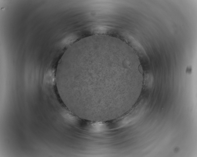 X0000103960383200809191517