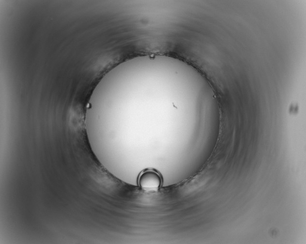 X0000103960384200809191517