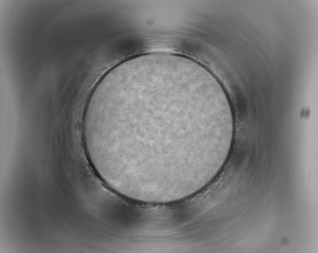 X0000103960385200809191516