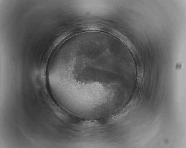 X0000103960386200809191516