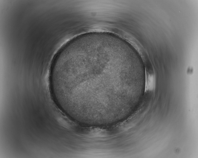 X0000103960387200809191516