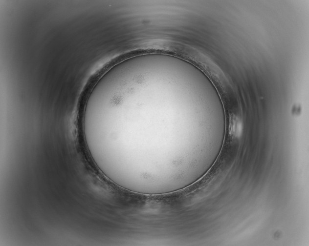 X0000103960388200809191516