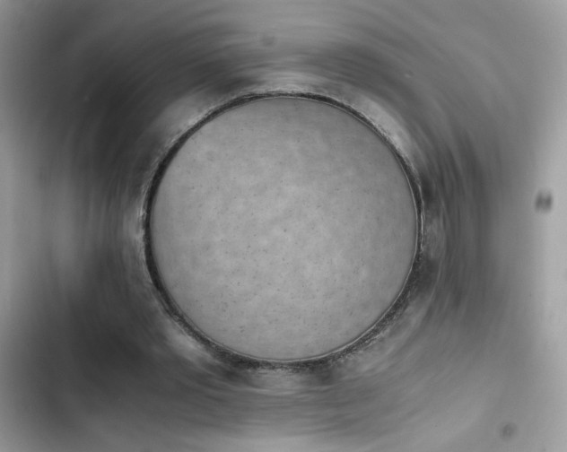 X0000103960389200809191516