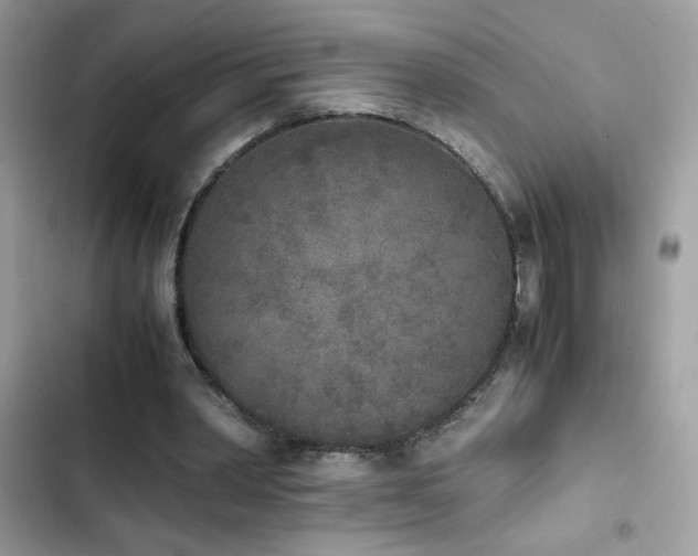 X0000103960390200809191516