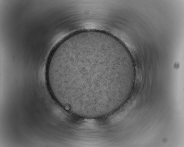X0000103960391200809191516