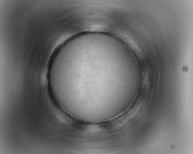 X0000103960392200809191516